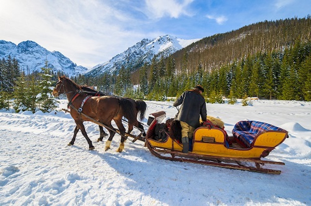 zakopane sleigh ride